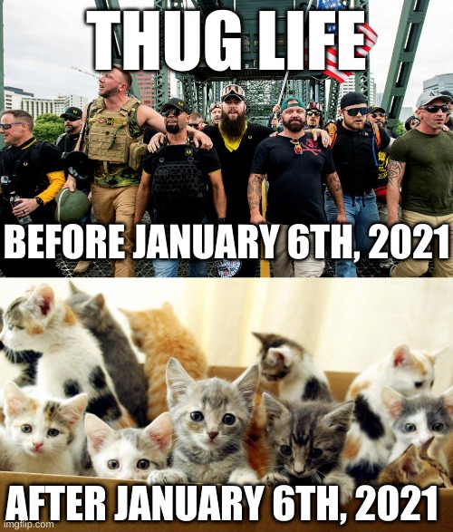 Thug Life - Before and After 1/6   January 6th, 2021 | THUG LIFE; BEFORE JANUARY 6TH, 2021; AFTER JANUARY 6TH, 2021 | image tagged in 1/6,proud boys,militia,thugs,republican,trump | made w/ Imgflip meme maker