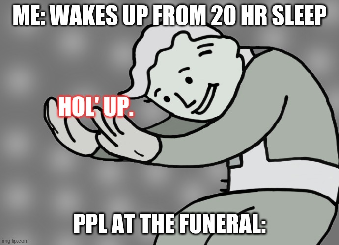 Hol up | ME: WAKES UP FROM 20 HR SLEEP PPL AT THE FUNERAL: HOL' UP. | image tagged in hol up | made w/ Imgflip meme maker