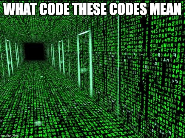 Shoutout to Silver for finding these | WHAT CODE THESE CODES MEAN | image tagged in matrix hallway code,secret | made w/ Imgflip meme maker