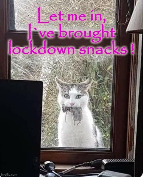 Let me in ! | Let me in,
I`ve brought
lockdown snacks ! | image tagged in lock him up | made w/ Imgflip meme maker