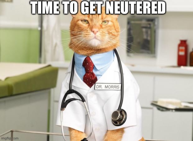 Oh how th stables have turned |  TIME TO GET NEUTERED | image tagged in cat doctor | made w/ Imgflip meme maker
