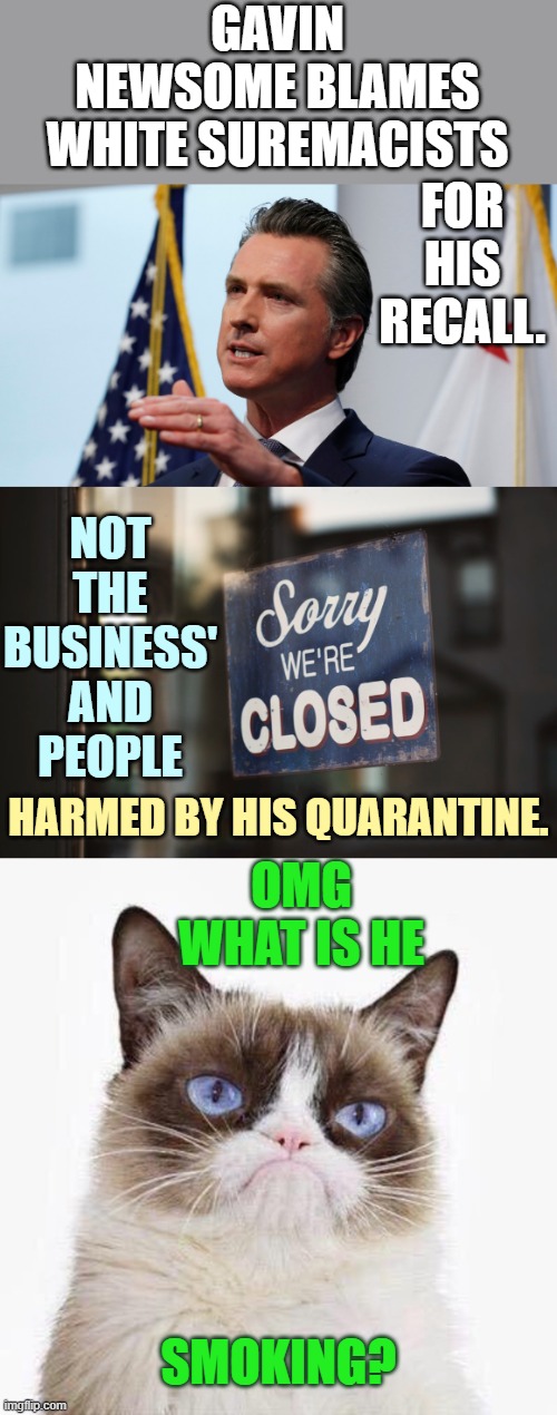 Maybe He Should Look At His Desire For Power And Control Over Others | GAVIN NEWSOME BLAMES WHITE SUREMACISTS; FOR HIS RECALL. NOT THE BUSINESS' AND PEOPLE; HARMED BY HIS QUARANTINE. OMG WHAT IS HE; SMOKING? | image tagged in memes,politics,recall,blame,white supremacists,grumpy cat | made w/ Imgflip meme maker