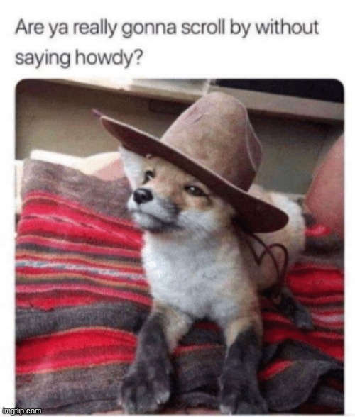 >:0 | image tagged in say,howdy,now,im pointing a gun,say it,or i shoot | made w/ Imgflip meme maker