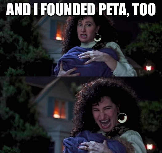 Agatha All Along | AND I FOUNDED PETA, TOO | image tagged in agatha all along | made w/ Imgflip meme maker
