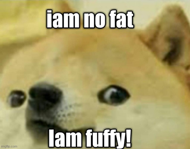 HE IS FLUFFY | image tagged in fat | made w/ Imgflip meme maker