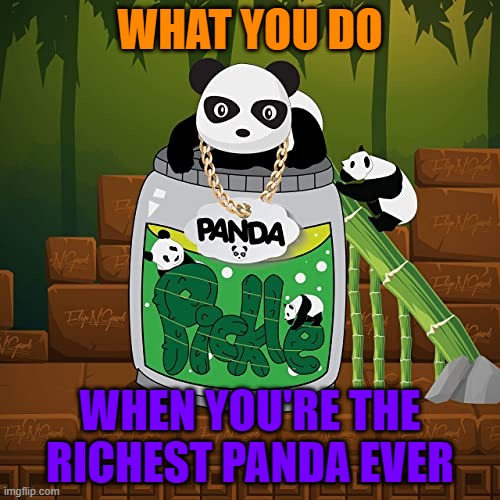 pickle panda | WHAT YOU DO; WHEN YOU'RE THE RICHEST PANDA EVER | image tagged in memes | made w/ Imgflip meme maker