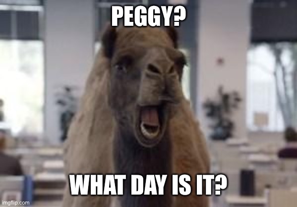 Hump Day | PEGGY? WHAT DAY IS IT? | image tagged in hump day camel | made w/ Imgflip meme maker