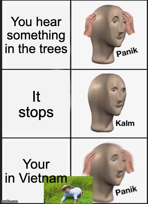 Fourtanate sun noises | You hear something in the trees; It stops; Your in Vietnam | image tagged in memes,panik kalm panik | made w/ Imgflip meme maker