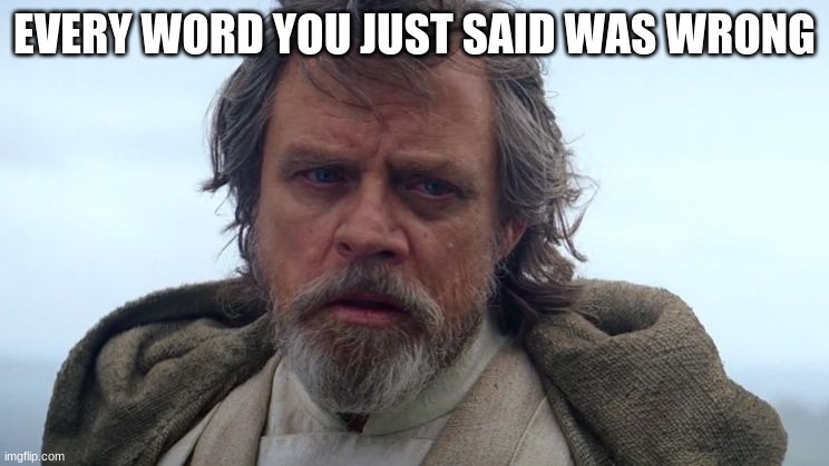 Luke Every Word you Just Said was Wrong | EVERY WORD YOU JUST SAID WAS WRONG | image tagged in luke every word you just said was wrong | made w/ Imgflip meme maker