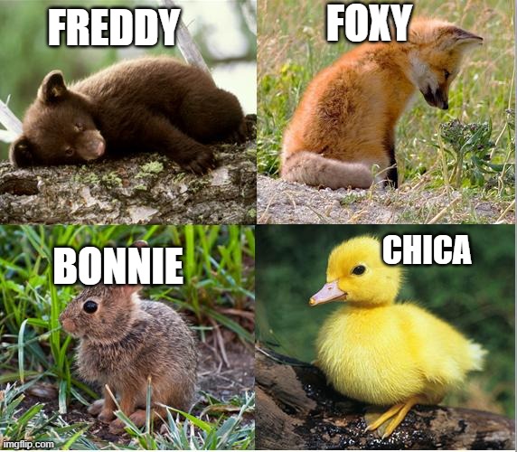 fnaf is real?!?! | FOXY; FREDDY; CHICA; BONNIE | image tagged in fnaf | made w/ Imgflip meme maker