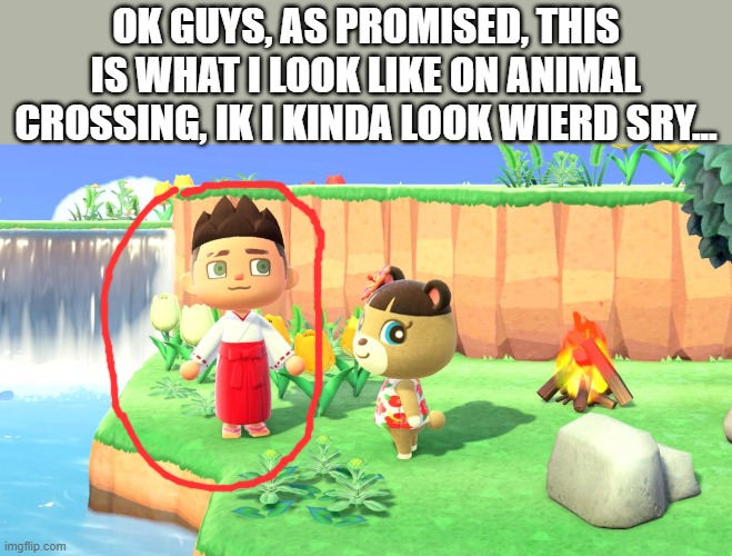 as promised for 95 followers, this is my anima crossing reveal! | OK GUYS, AS PROMISED, THIS IS WHAT I LOOK LIKE ON ANIMAL CROSSING, IK I KINDA LOOK WIERD SRY... | made w/ Imgflip meme maker