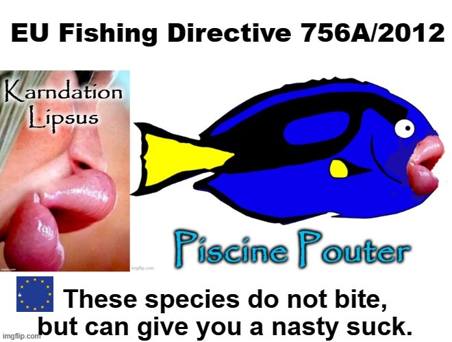 EU Fishing Directive | Karndation
Lipsus | image tagged in kardashian | made w/ Imgflip meme maker