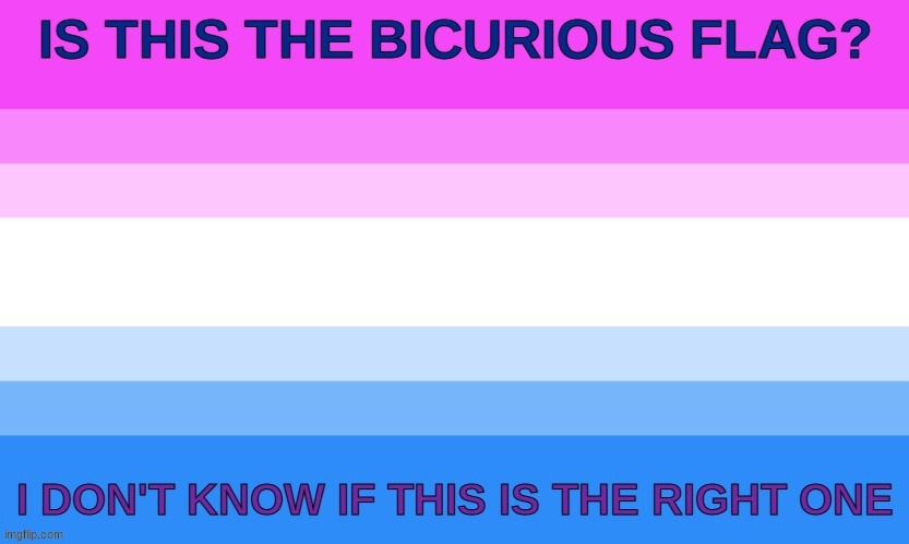 image tagged in pride flag,question | made w/ Imgflip meme maker