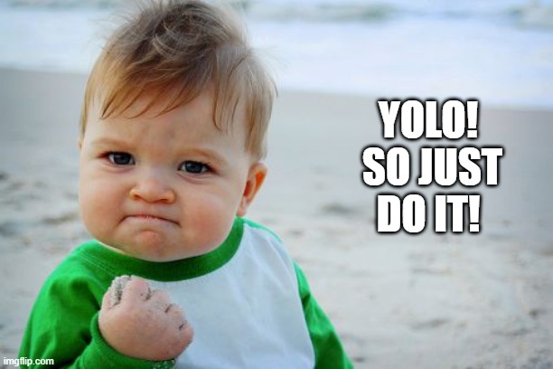 Success Kid Original Meme | YOLO!  SO JUST DO IT! | image tagged in memes,success kid original | made w/ Imgflip meme maker