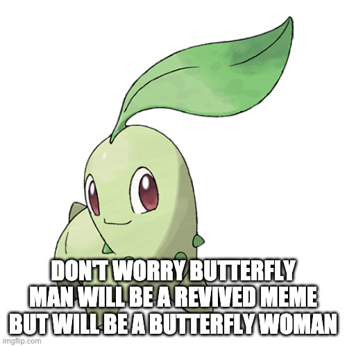 Chikorita's Father | DON'T WORRY BUTTERFLY MAN WILL BE A REVIVED MEME BUT WILL BE A BUTTERFLY WOMAN | image tagged in chikorita's father | made w/ Imgflip meme maker