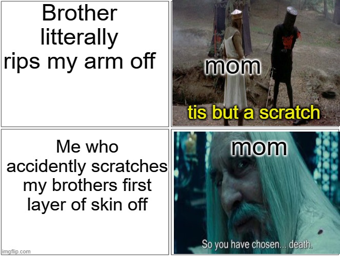Only siblings can relate | Brother litterally rips my arm off; mom; tis but a scratch; mom; Me who accidently scratches my brothers first layer of skin off | image tagged in memes,siblings,bruh,mom | made w/ Imgflip meme maker