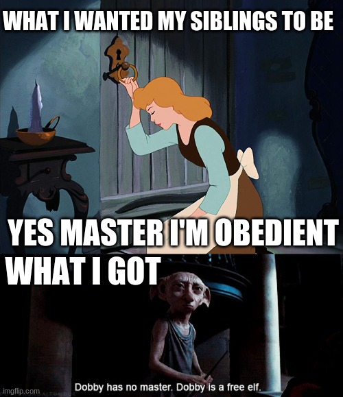 WHAT I WANTED MY SIBLINGS TO BE; YES MASTER I'M OBEDIENT; WHAT I GOT | image tagged in cinderella locked up in her room,dobby has no master | made w/ Imgflip meme maker