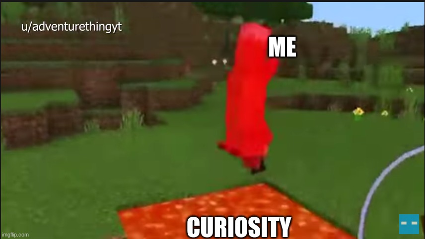 suicide fox | ME; CURIOSITY | image tagged in suicide fox | made w/ Imgflip meme maker