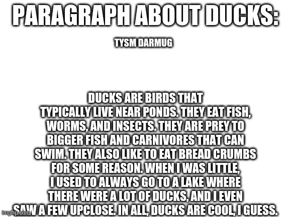 Dare by Darmug | PARAGRAPH ABOUT DUCKS:; TYSM DARMUG; DUCKS ARE BIRDS THAT TYPICALLY LIVE NEAR PONDS. THEY EAT FISH, WORMS, AND INSECTS. THEY ARE PREY TO BIGGER FISH AND CARNIVORES THAT CAN SWIM. THEY ALSO LIKE TO EAT BREAD CRUMBS FOR SOME REASON. WHEN I WAS LITTLE, I USED TO ALWAYS GO TO A LAKE WHERE THERE WERE A LOT OF DUCKS, AND I EVEN SAW A FEW UPCLOSE. IN ALL, DUCKS ARE COOL, I GUESS. | image tagged in blank white template | made w/ Imgflip meme maker