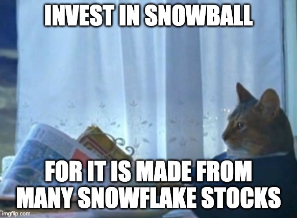 I Should Buy A Boat Cat Meme | INVEST IN SNOWBALL FOR IT IS MADE FROM MANY SNOWFLAKE STOCKS | image tagged in memes,i should buy a boat cat | made w/ Imgflip meme maker