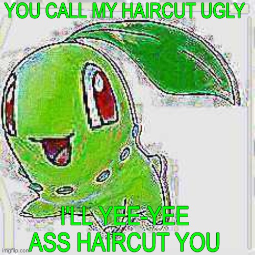YOU CALL MY HAIRCUT UGLY I'LL YEE-YEE ASS HAIRCUT YOU | image tagged in deep fried chikorita | made w/ Imgflip meme maker