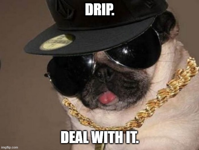Gangster Pug | DRIP. NEVER GONNA GIVE YOU UP BY RICK ASTLEY. YOU KNOW THE RULES AND SO DO I. YOU WOULDNT GET THIS FROM ANY OTHER GUY. NEVER GONNA RUN AROUND AND DESERT YOU. NEVER GONNA TELL A LIE AND HURT YOU. BUT YOU’RE TOO SHY TO SAY IT. WE KNOW THE GAME AND WE’RE GONNA PLAY IT. NEVER GONNA RUN AROUND AND DESERT YOU. DEAL WITH IT. | image tagged in gangster pug | made w/ Imgflip meme maker