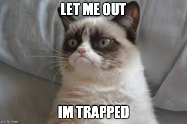 LEMME OUT | LET ME OUT; IM TRAPPED | image tagged in grumpy cat | made w/ Imgflip meme maker
