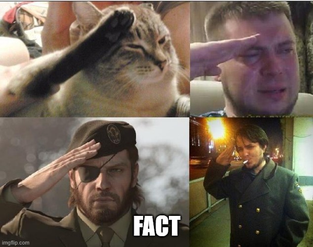 Ozon's Salute | FACT | image tagged in ozon's salute | made w/ Imgflip meme maker