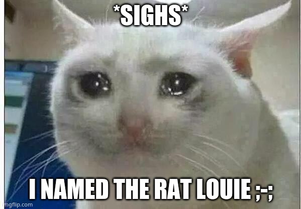 I NEED FIRE | *SIGHS*; I NAMED THE RAT LOUIE ;-; | image tagged in crying cat | made w/ Imgflip meme maker