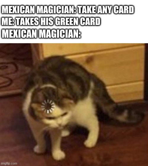 Loading cat | ME: TAKES HIS GREEN CARD; MEXICAN MAGICIAN: TAKE ANY CARD; MEXICAN MAGICIAN: | image tagged in loading cat | made w/ Imgflip meme maker