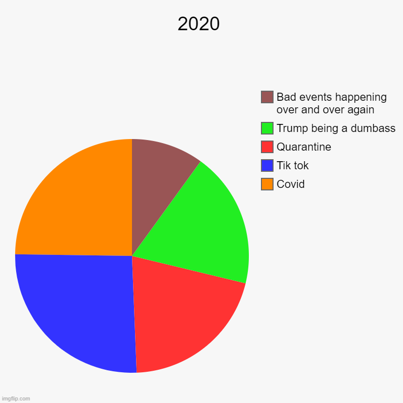 2020 | Covid, Tik tok, Quarantine , Trump being a dumbass, Bad events happening over and over again | image tagged in charts,pie charts | made w/ Imgflip chart maker