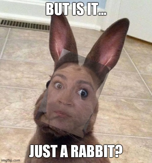 Really? Rabbit | BUT IS IT... JUST A RABBIT? | image tagged in really rabbit | made w/ Imgflip meme maker