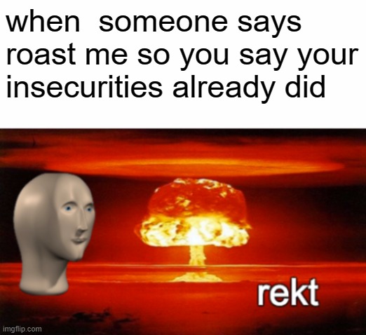 rekt w/text | when  someone says roast me so you say your insecurities already did | image tagged in rekt w/text | made w/ Imgflip meme maker