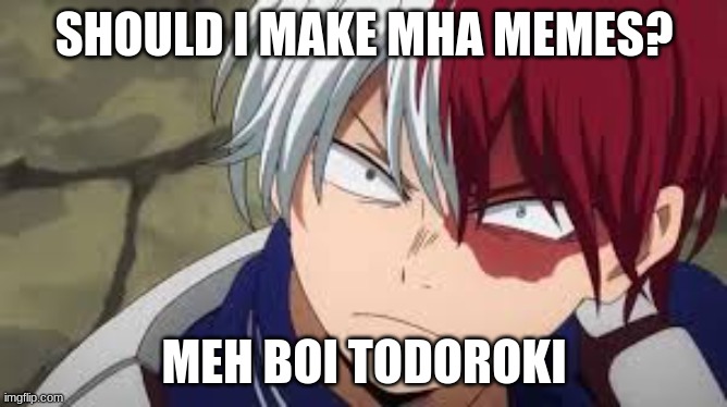 nice question | SHOULD I MAKE MHA MEMES? MEH BOI TODOROKI | image tagged in angry todoroki | made w/ Imgflip meme maker