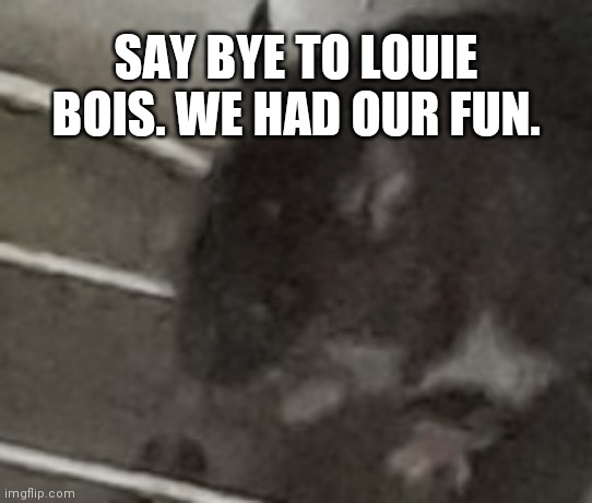 I'm not gonna kill him- ima just yeet him outside. *salutes* | SAY BYE TO LOUIE BOIS. WE HAD OUR FUN. | made w/ Imgflip meme maker