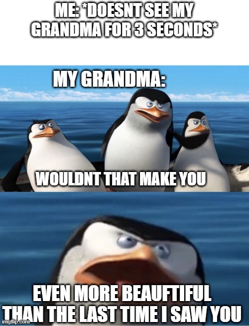 (idk if it exists) |  ME: *DOESNT SEE MY GRANDMA FOR 3 SECONDS*; MY GRANDMA:; WOULDNT THAT MAKE YOU; EVEN MORE BEAUFTIFUL THAN THE LAST TIME I SAW YOU | image tagged in wouldn't that make you,handsome,grandmas | made w/ Imgflip meme maker