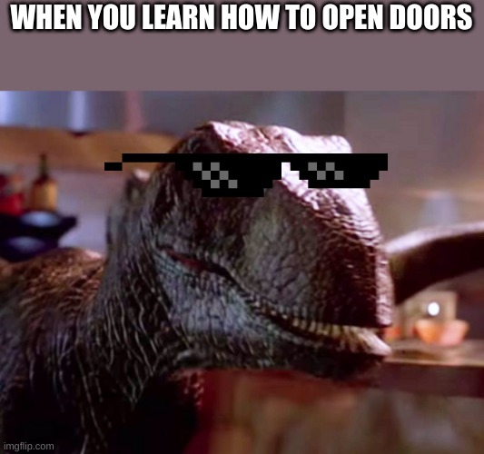 WHEN YOU LEARN HOW TO OPEN DOORS | made w/ Imgflip meme maker