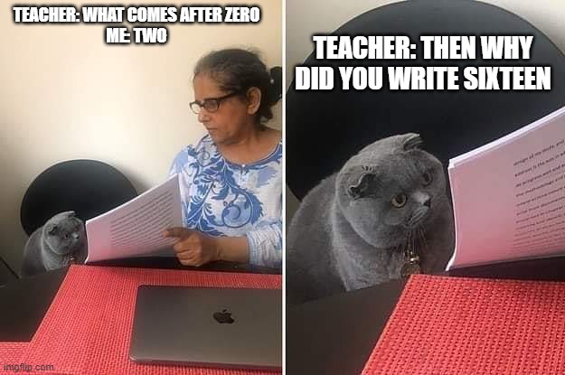 Woman showing paper to cat | TEACHER: THEN WHY DID YOU WRITE SIXTEEN; TEACHER: WHAT COMES AFTER ZERO
ME: TWO | image tagged in woman showing paper to cat | made w/ Imgflip meme maker