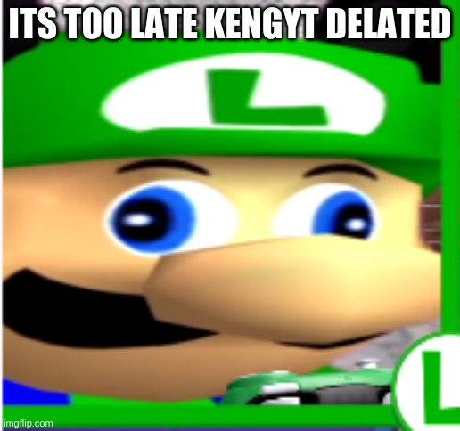 f in the CHAT | ITS TOO LATE KENGYT DELATED | image tagged in ffff | made w/ Imgflip meme maker