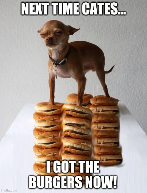 Chihuahua Burguer 2 | NEXT TIME CATES... I GOT THE BURGERS NOW! | image tagged in chihuahua burguer 2,next time cates | made w/ Imgflip meme maker