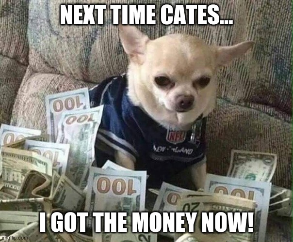 chihuahua money | NEXT TIME CATES... I GOT THE MONEY NOW! | image tagged in chihuahua money,next time cates | made w/ Imgflip meme maker