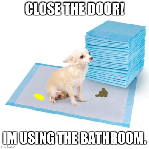 Pee pads | CLOSE THE DOOR! IM USING THE BATHROOM. | image tagged in pee pads | made w/ Imgflip meme maker