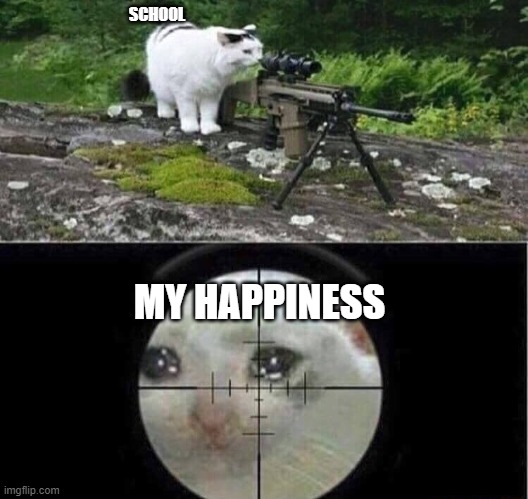 Sniper cat | SCHOOL; MY HAPPINESS | image tagged in sniper cat | made w/ Imgflip meme maker
