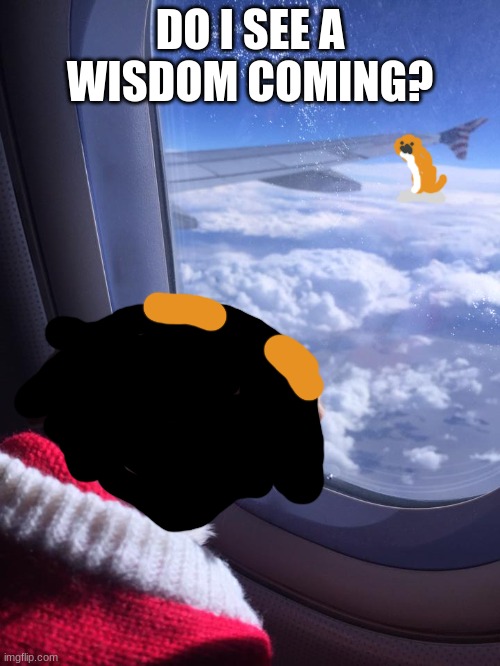 Flying Chihuahua | DO I SEE A WISDOM COMING? | image tagged in flying chihuahua,dog of wisdom | made w/ Imgflip meme maker