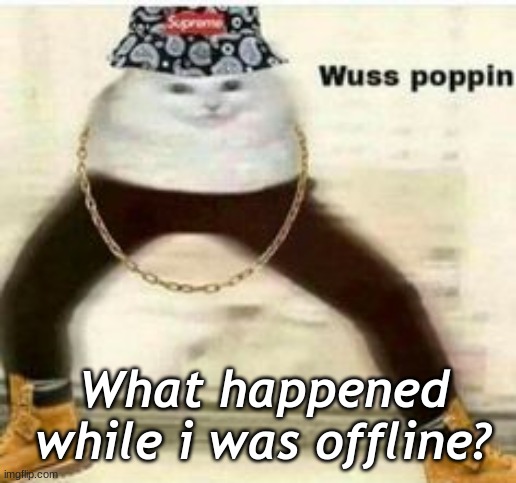 What happened while i was offline? | made w/ Imgflip meme maker