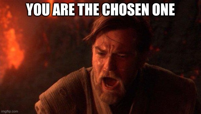 You Were The Chosen One (Star Wars) Meme | YOU ARE THE CHOSEN ONE | image tagged in memes,you were the chosen one star wars | made w/ Imgflip meme maker