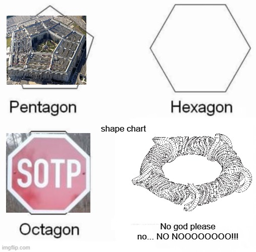 No god please no. No. NOOOOOOOOOO!!!!!! | shape chart; No god please no... NO NOOOOOOOO!!! | image tagged in memes,pentagon hexagon octagon,no god no god please no | made w/ Imgflip meme maker