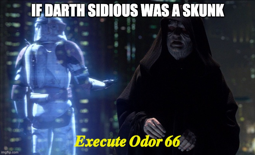 Execute Order 66 | IF DARTH SIDIOUS WAS A SKUNK Execute Odor 66 | image tagged in execute order 66 | made w/ Imgflip meme maker