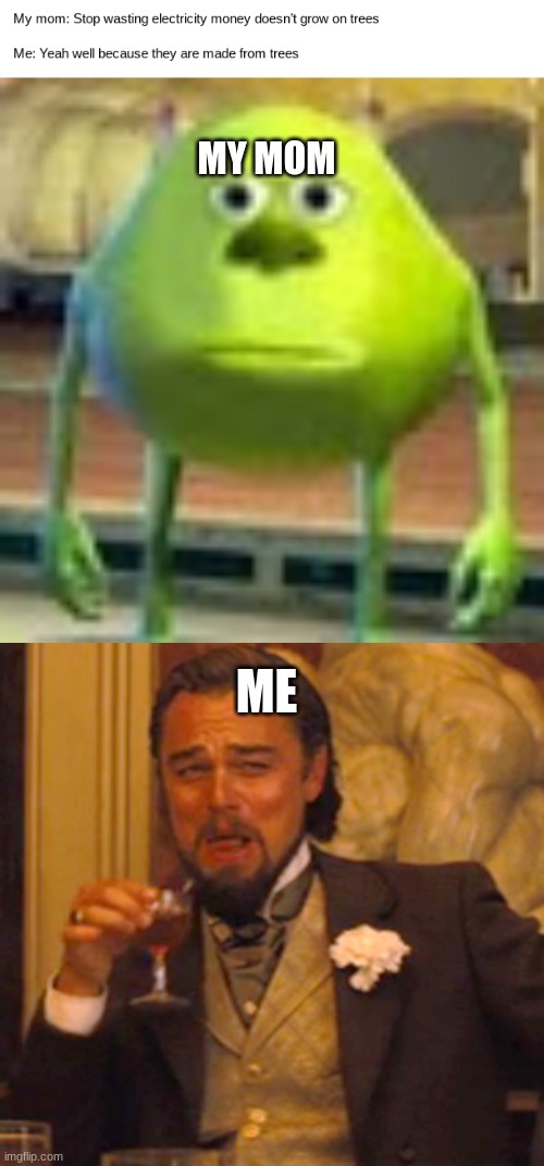 Well it was fun while it lasted, now i'm dead | MY MOM; ME | image tagged in sully wazowski,memes,laughing leo | made w/ Imgflip meme maker