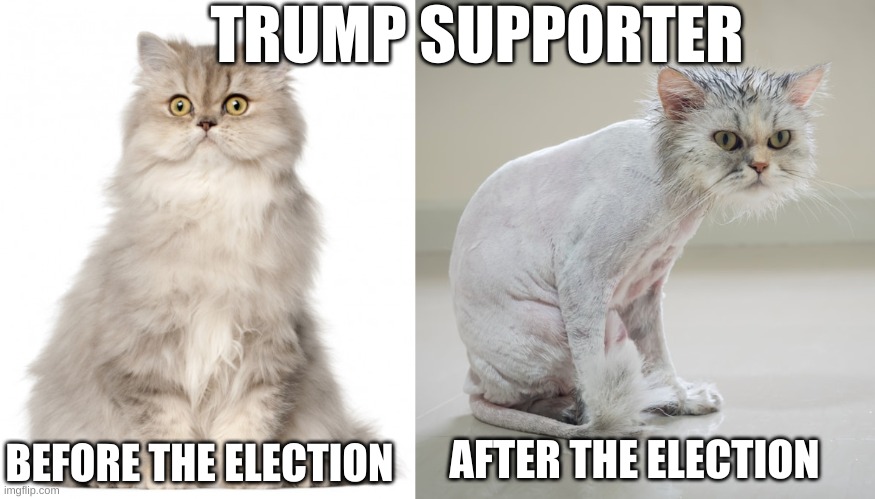 Trump supporters before and after the Election | TRUMP SUPPORTER; AFTER THE ELECTION; BEFORE THE ELECTION | image tagged in trump,republican,election 2020,insurrection,riot,prison | made w/ Imgflip meme maker